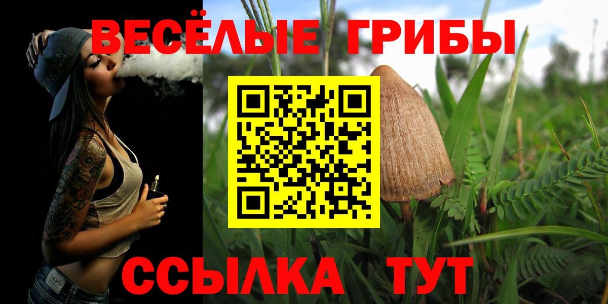Псилоцибиновые грибы прущие грибы Красноармейск