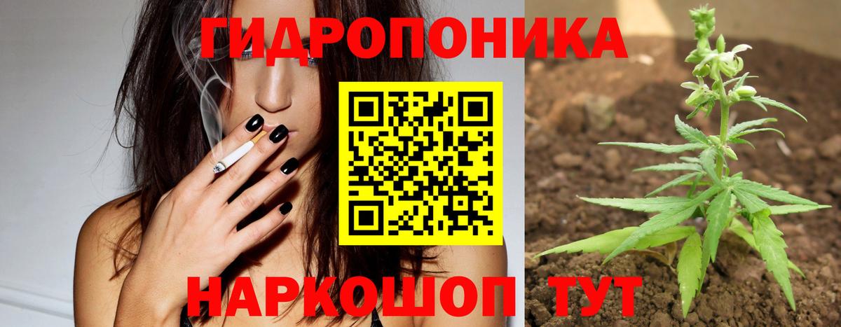 Каннабис White Widow  Марихуана гибрид  Канабис OG Kush  Красноармейск  Каннабис Amnesia  Вход с VPN 